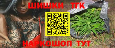 прущие грибы Новодвинск