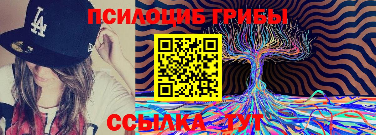 Галлюциногенные грибы Psilocybe Советский